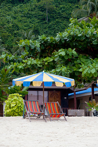istock chairs and sun shade at tropical island 136503829