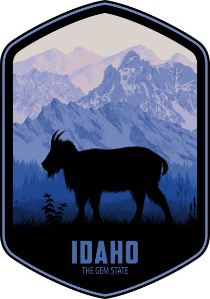 illustrations, cliparts, dessins animés et icônes de étiquette vectorielle de l’idaho avec une chèvre des montagnes rocheuses dans les montagnes white cloud - idaho mountains