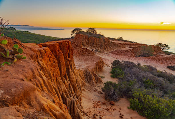 broken hill o zachodzie słońca - torrey pines state reserve zdjęcia i obrazy z banku zdjęć