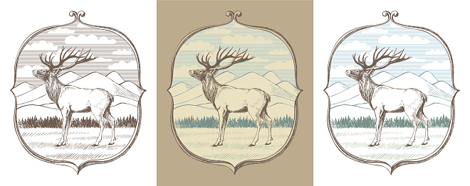Hand drawn illustration of emblem with deer as a vector rendering.