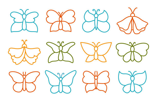 Butterfly symbol set icon moths stencil drawing child illustration tropical insect contour wings Butterfly symbol set. Elegant exotic icon butterflies and moths stencil drawing child illustration. Abstract stylized tropical insect, contour wings. Wildlife childrens hand drawn doodle design vector butterfly tattoo stencil stock illustrations