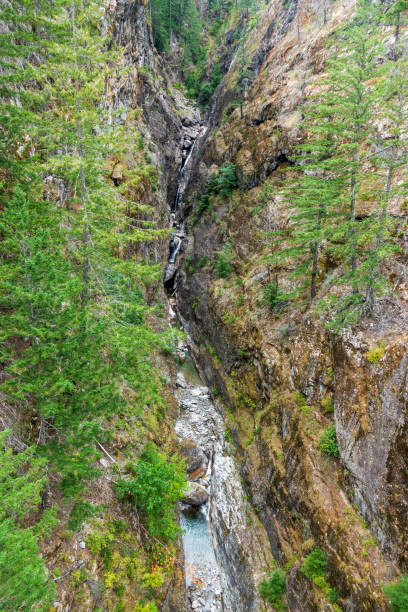 gorge creek falls nel parco nazionale di north cascades - north cascades national park cascade range river waterfall foto e immagini stock