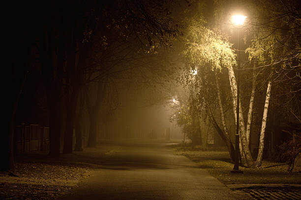 istock Street in the autumn mist 136504503