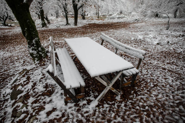 Old wooden table top covered to snow in winter forest. Snowy background. winter nature concept.