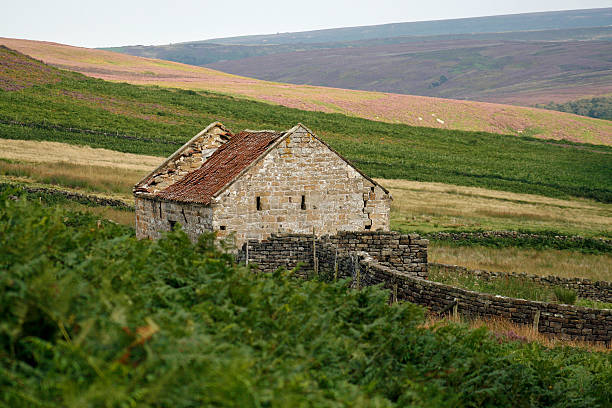 istock Stone building in disrepair 136505032