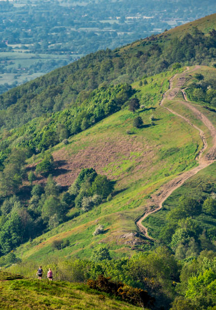 夏の朝の散歩で、モルバーンヒルズを楽しんで、遠くにヒルウォーカー。 - non urban scene england rural scene hill range ストックフォトと画像