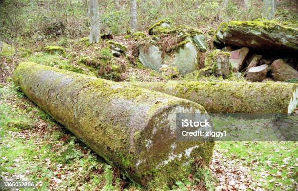 Nature Roman Columns Stock Photo - Download Image Now - Forest, Abandoned, Ancient Civilization