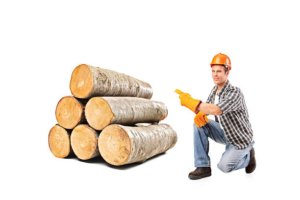 A smiling worker pointing on a pile of beech firewood isolated on white background