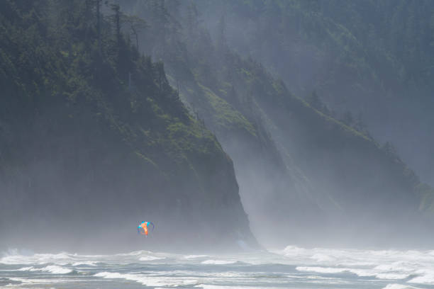 istock Kite flying over crashing waves 1365053657