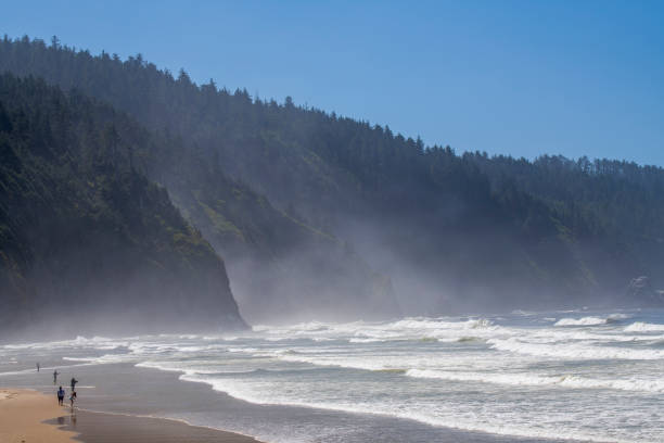 istock Crashing waves with incidental people on beach 1365053666