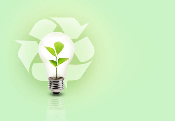 Light bulb with green leaves inside over recycle symbol  on light green background stock photo