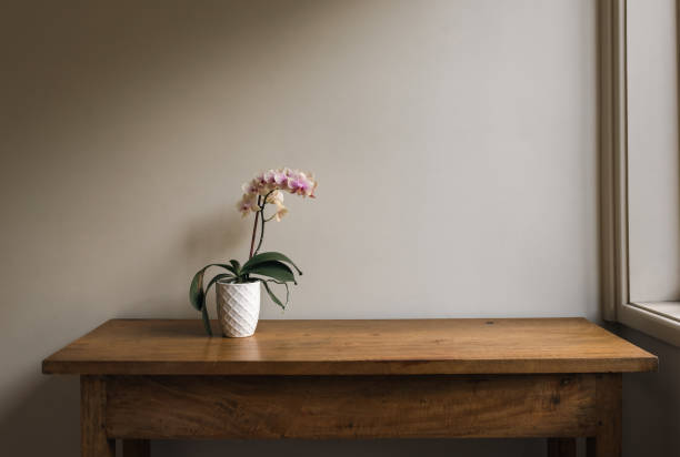 istock Phalaenopsis orchid in white pot on oak sidetable 1365060041