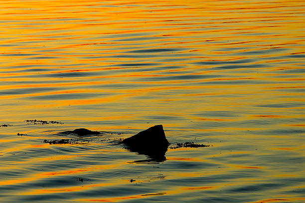 Sea Rock stock photo