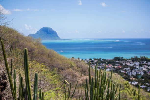 istock Nature, oceans, bridges, mountains and salt 1365063060