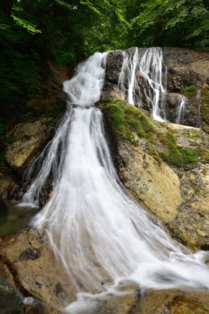 istock Beautiful waterfall in a green forest 1365065627