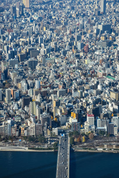 istock Aerial view of Tokyo 1365066925