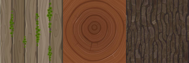 나무 줄기, 나무 줄기, 나무 껍질 및 보드의 나무 질감 - bark backgrounds textured wood grain stock illustrations