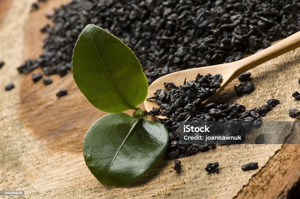 Chá fresco e seco - Royalty-free Camellia sinensis Foto de stock