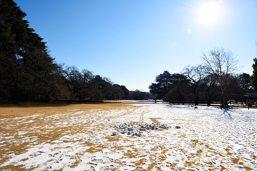 Public park in Winter with copy space.