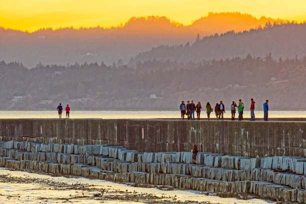 The City of Victoria on Vancouver Island  on September 29, 2012:    Groups of people walking along the Ogden Point Breakwater in  the Victoria harbor on Vancouver Island at sunset