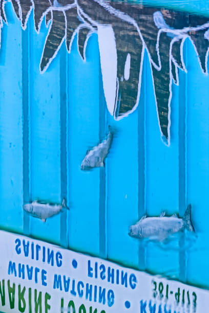 The City of Victoria on Vancouver Island  on July 23, 2013:     Reflection of Orca whale themed wall art at a whale watching booth located at a downtown Victoria public dock on Vancouver Island, British Columbia