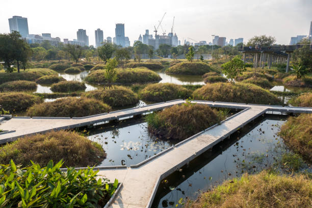 istock Benjakitti Forest Park with City Skyline 1365073015