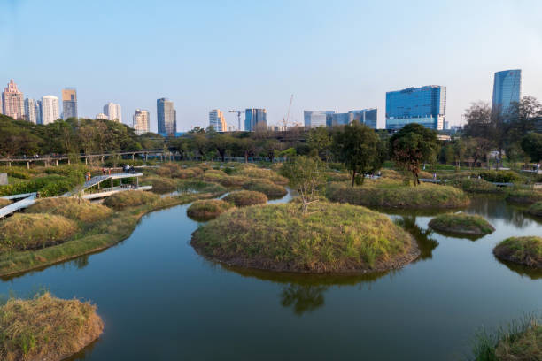 istock Benjakitti Forest Park with City Skyline 1365073556