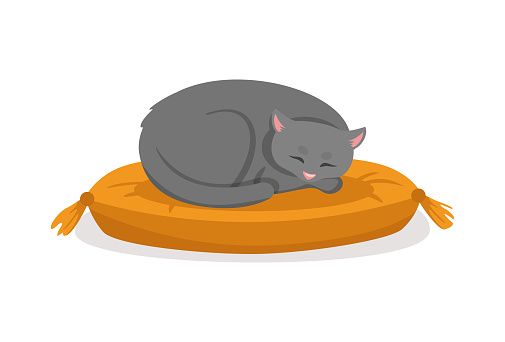 Ilustrasi Gaya Kartun Vektor Kucing Abuabu Ilustrasi Stok - Unduh