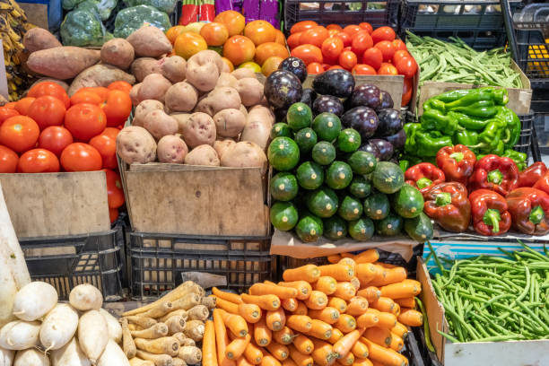 Different kinds of vegetables
