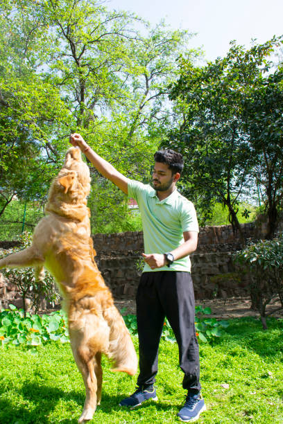 istock young man playing fetch with his golden retriever 1365081315