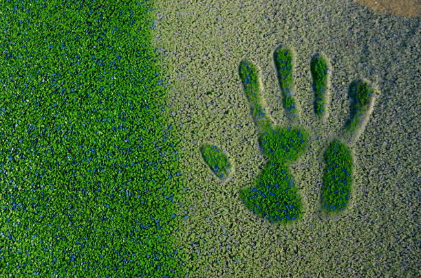 istock around game elements in spots, nursery playgrounds, there are tartan rubber surfaces made of crushed rubber glued together. rope center with trampoline. handprint in frozen hoarfrost, melting 1365082716