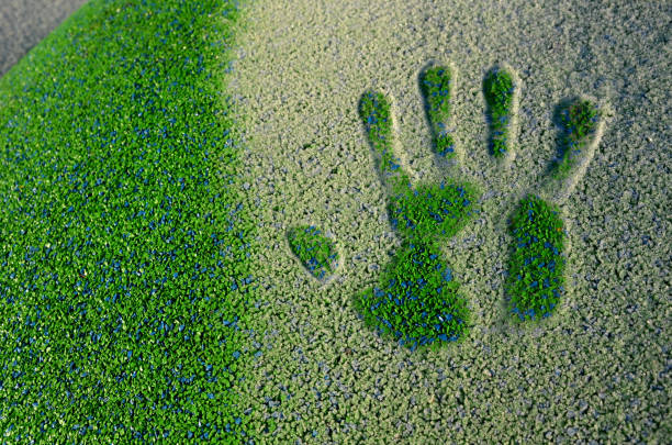 istock around game elements in spots, nursery playgrounds, there are tartan rubber surfaces made of crushed rubber glued together. rope center with trampoline. handprint in frozen hoarfrost, melting 1365082925