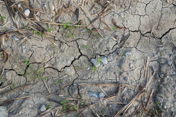 istock parched farmland in summer 1365085714