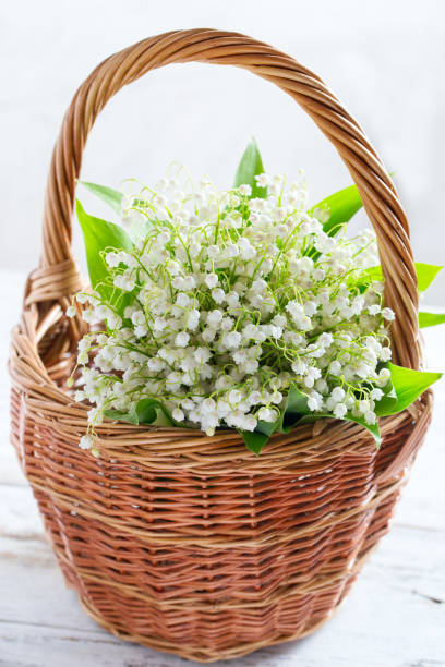 istock Basket with lilies of the valley on the table, selective focus 1365086876