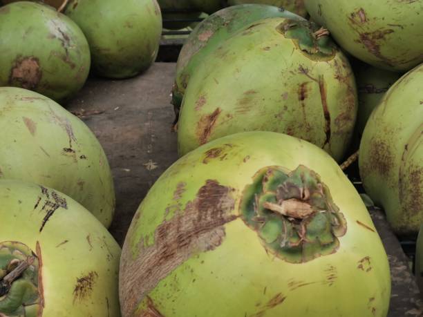 istock A young coconut to refresh the hot weather 1365087942
