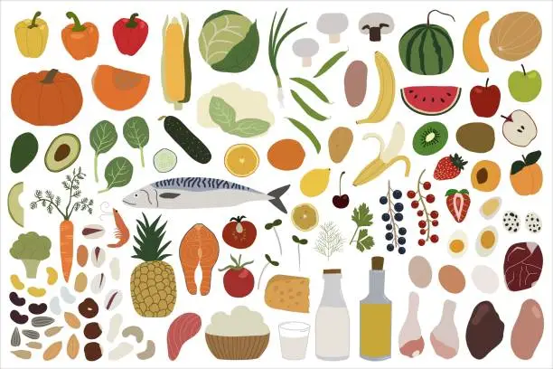 Vector illustration of Big set with vegetables, fruits, berries, fish, nuts, dairy products, herbs, meat and eggs. Vector illustration.