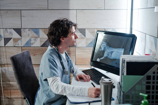 istock Vet doctor examining the x-ray image on computer 1365088032