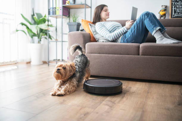 Woman and dog relaxing in the living room while robot vaccum cleans. stock photo