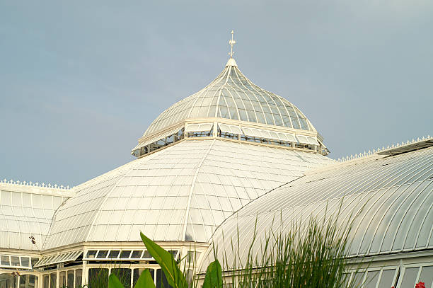 istock Greenhouse Detail 136509270