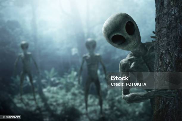 Criatura Alienígena En El Bosque Foto de stock y más banco de imágenes de Extraterrestre - Extraterrestre, OVNI, Echar un vistazo
