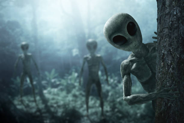 Aliens creature in the forest stock photo