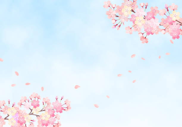 cat air yang digambar tangan. ilustrasi latar belakang bunga sakura - musim semi ilustrasi stok