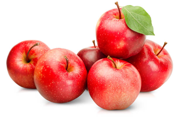 육백사십 사과들 - apple 뉴스 사진 이미지