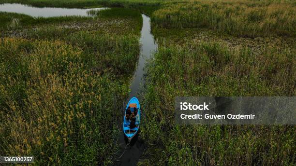 Aerial View Of Boat And People Going On Lake Boat Going Through Reeds People Boat Trip Trip On Wooden Boat People On Boat On Lake With Reeds And Water Lilies Aerial View Of Kayak On The Rive Fishermen On Woody Handmade Boats On River Or Lake Stock Photo - Download Image Now