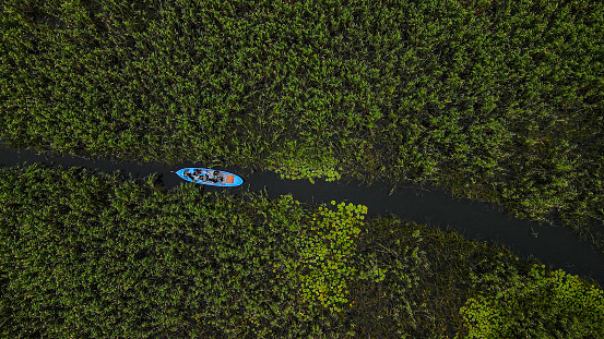 aerial view of boat and people going on lake, boat going through reeds, people boat trip, trip on wooden boat, people on boat on lake with reeds and water lilies, Aerial view of kayak on the rive, Fishermen on woody handmade boats on river or lake