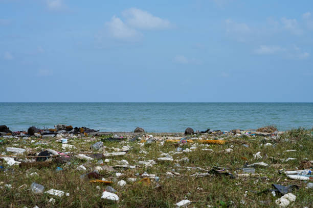 istock Blurred image of trash on a dirty beach with sea and sky background. 1365101370