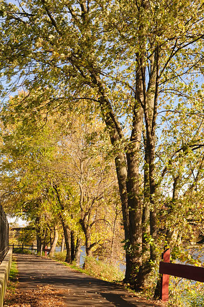 istock Riverside amble in autumn 136510339