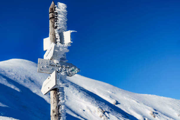 istock Frozen and ice-covered hiking trail markings in high snowy mountains 1365105191
