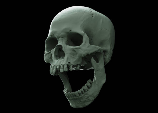 22,400+ Metallic Skull Stock Photos, Pictures & Royalty-Free Images - iStock