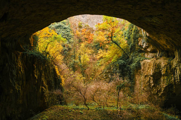 istock The landscape inside the cave. An ecosystem with a river and trees inside a rock. 1365113046